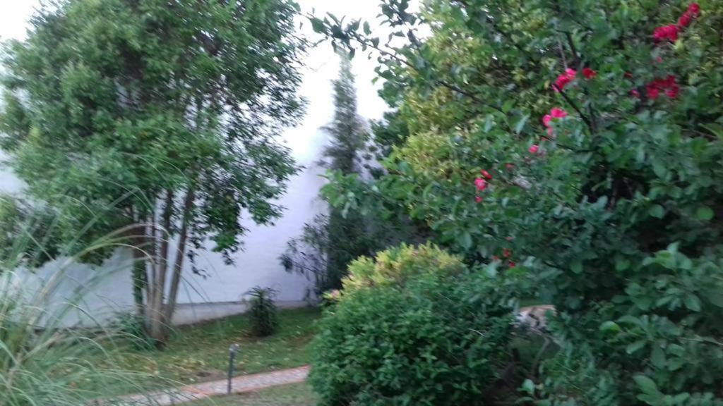 Casas De Almajar Villa Прадо дел Рей Екстериор снимка