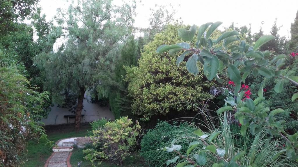 Casas De Almajar Villa Прадо дел Рей Екстериор снимка