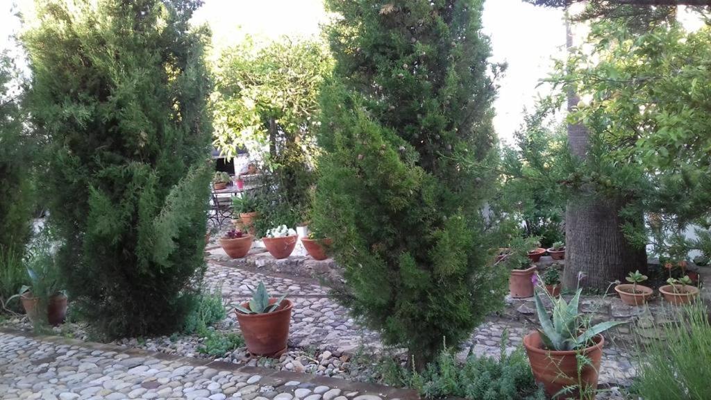 Casas De Almajar Villa Прадо дел Рей Екстериор снимка